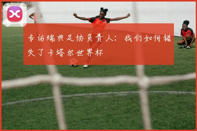 专访瑞典足协负责人：我们如何错失了卡塔尔世界杯