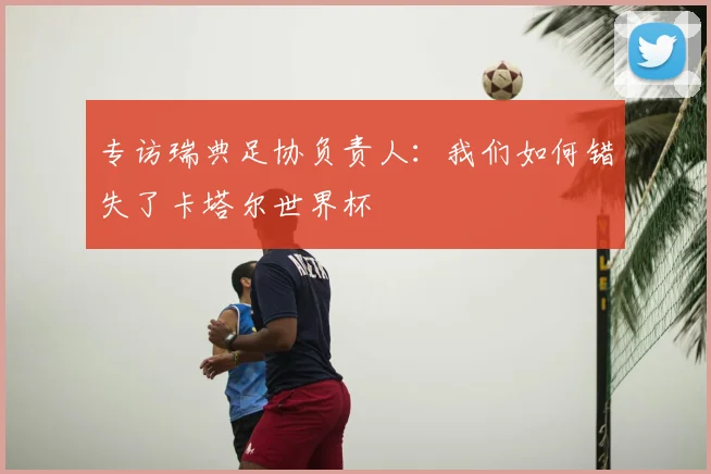 专访瑞典足协负责人：我们如何错失了卡塔尔世界杯