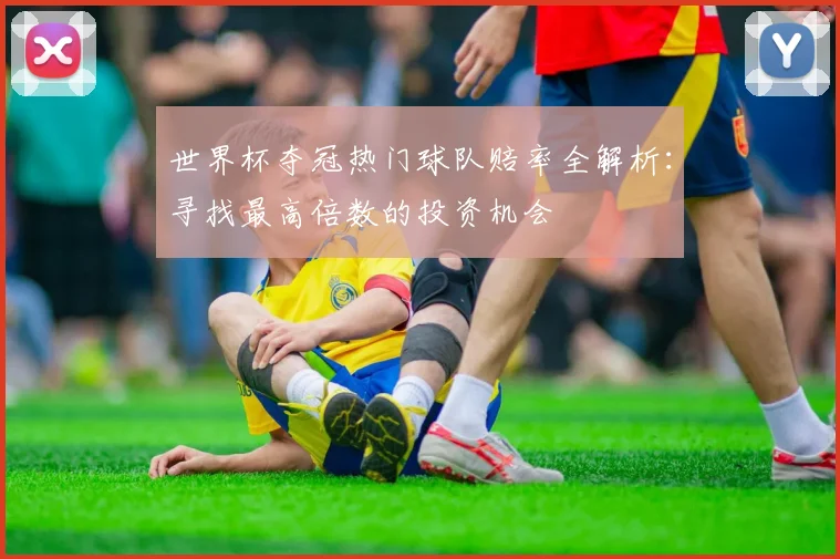 世界杯夺冠热门球队赔率全解析：寻找最高倍数的投资机会