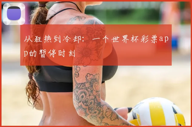 从狂热到冷却：一个世界杯彩票app的暂停时刻