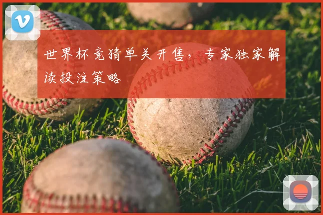 世界杯竞猜单关开售,专家独家解读投注策略