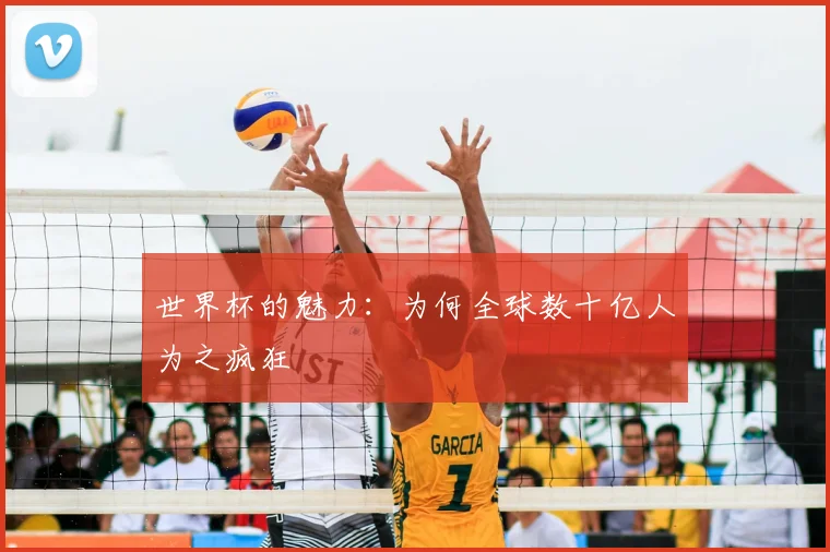 世界杯的魅力：为何全球数十亿人为之疯狂