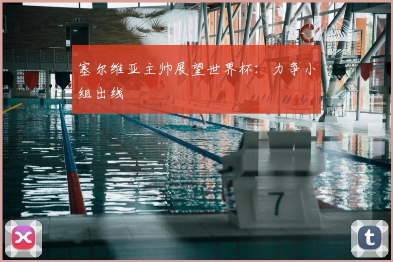 塞尔维亚主帅展望世界杯：力争小组出线