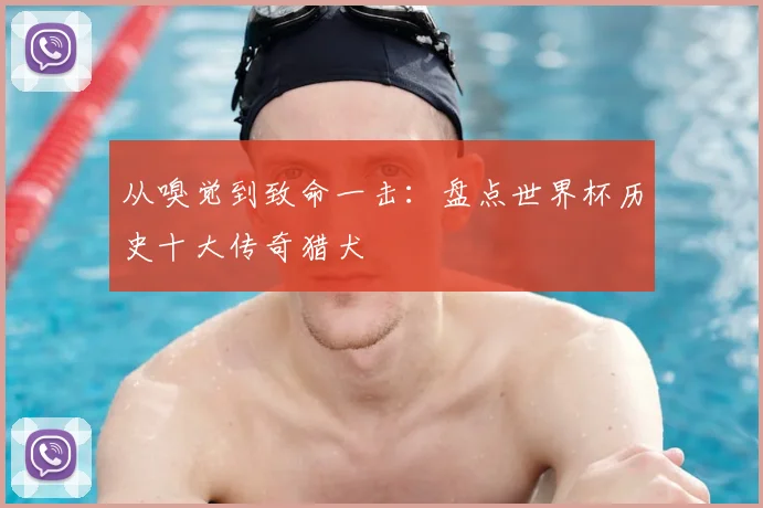 从嗅觉到致命一击:盘点世界杯历史十大传奇猎犬