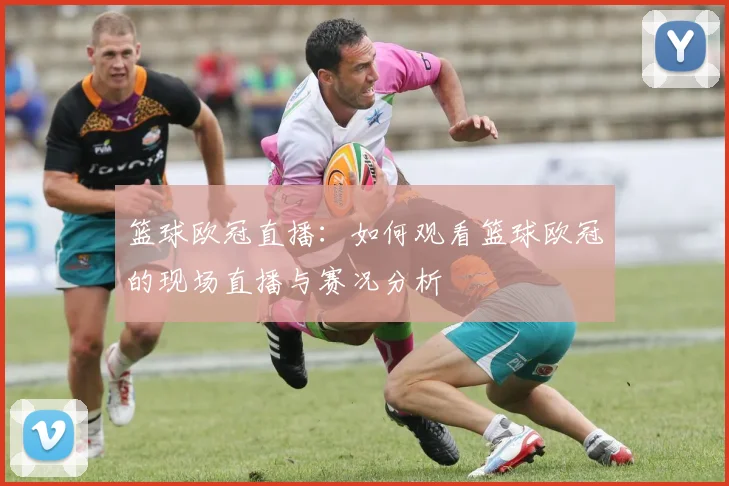 篮球欧冠直播：如何观看篮球欧冠的现场直播与赛况分析
