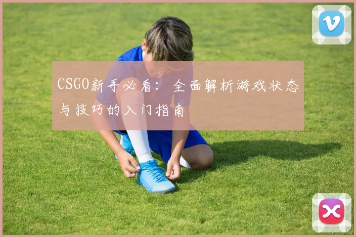 CSGO新手必看：全面解析游戏状态与技巧的入门指南