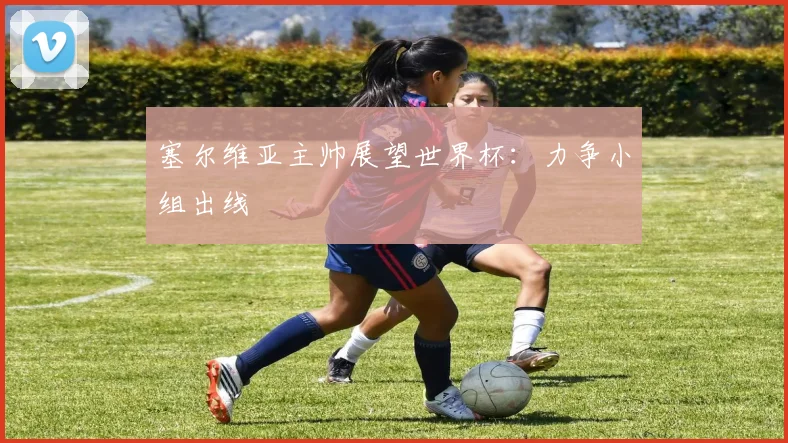 塞尔维亚主帅展望世界杯：力争小组出线