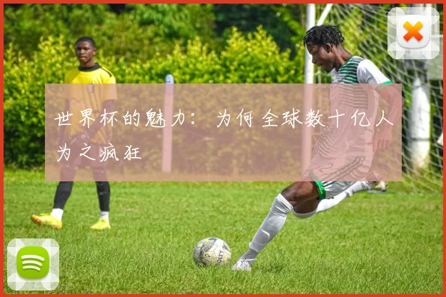 世界杯的魅力：为何全球数十亿人为之疯狂