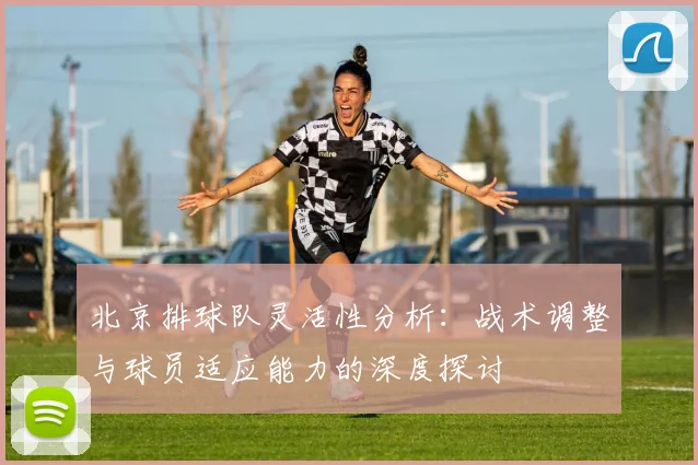 北京排球队灵活性分析：战术调整与球员适应能力的深度探讨