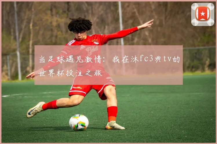 当足球遇见激情：我在沐fc3典tv的世界杯投注之旅