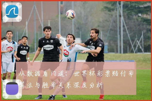 从数据看门道：世界杯彩票赔付率算法与胜率关系深度分析
