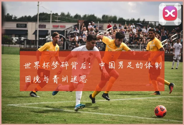 世界杯梦碎背后：中国男足的体制困境与青训迷思