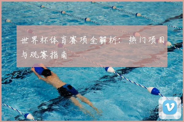 世界杯体育赛项全解析:热门项目与观赛指南